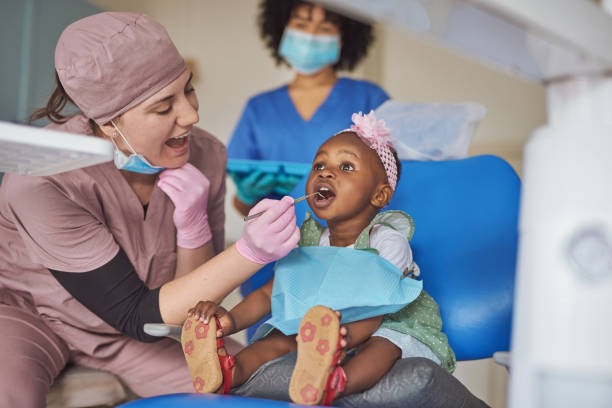 St Joseph, IL Holistic Dental Care Services Company